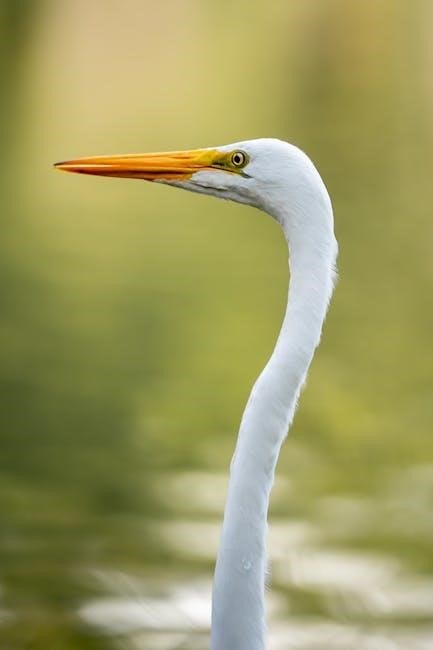 florida trailer bill of sale pdf